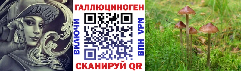 Галлюциногенные грибы ЛСД  Черноголовка 