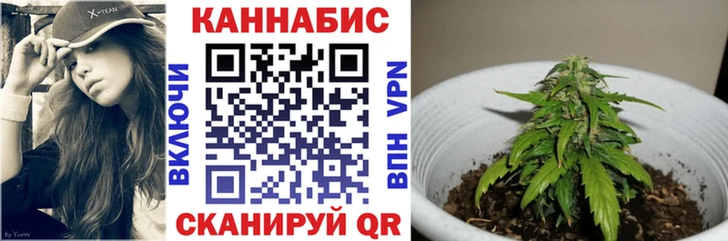 купить наркотик  Черноголовка  Марихуана конопля 